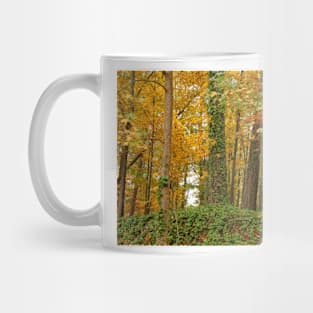 When November Comes Mug